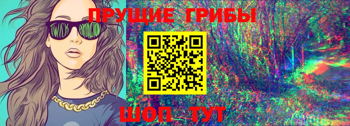 Шелехов  Галлюциногенные грибы прущие грибы  Вход с VPN 