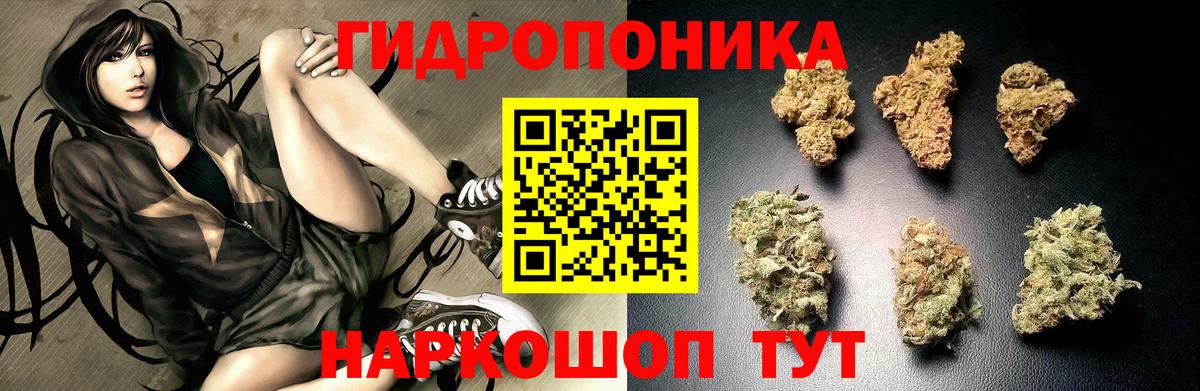 Марихуана VHQ  Вход с VPN  Шелехов  Марихуана White Widow 